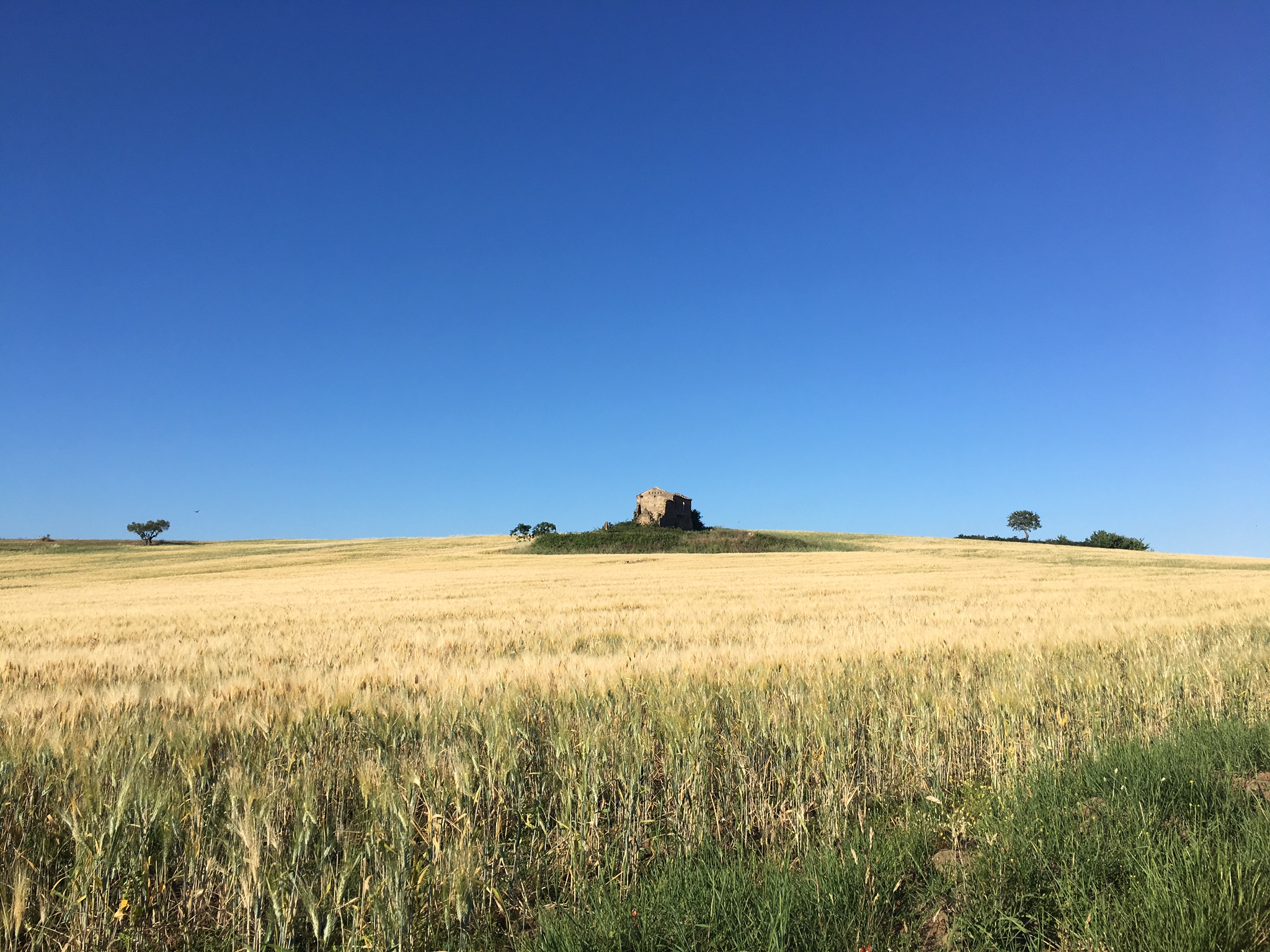 Puglia countryside